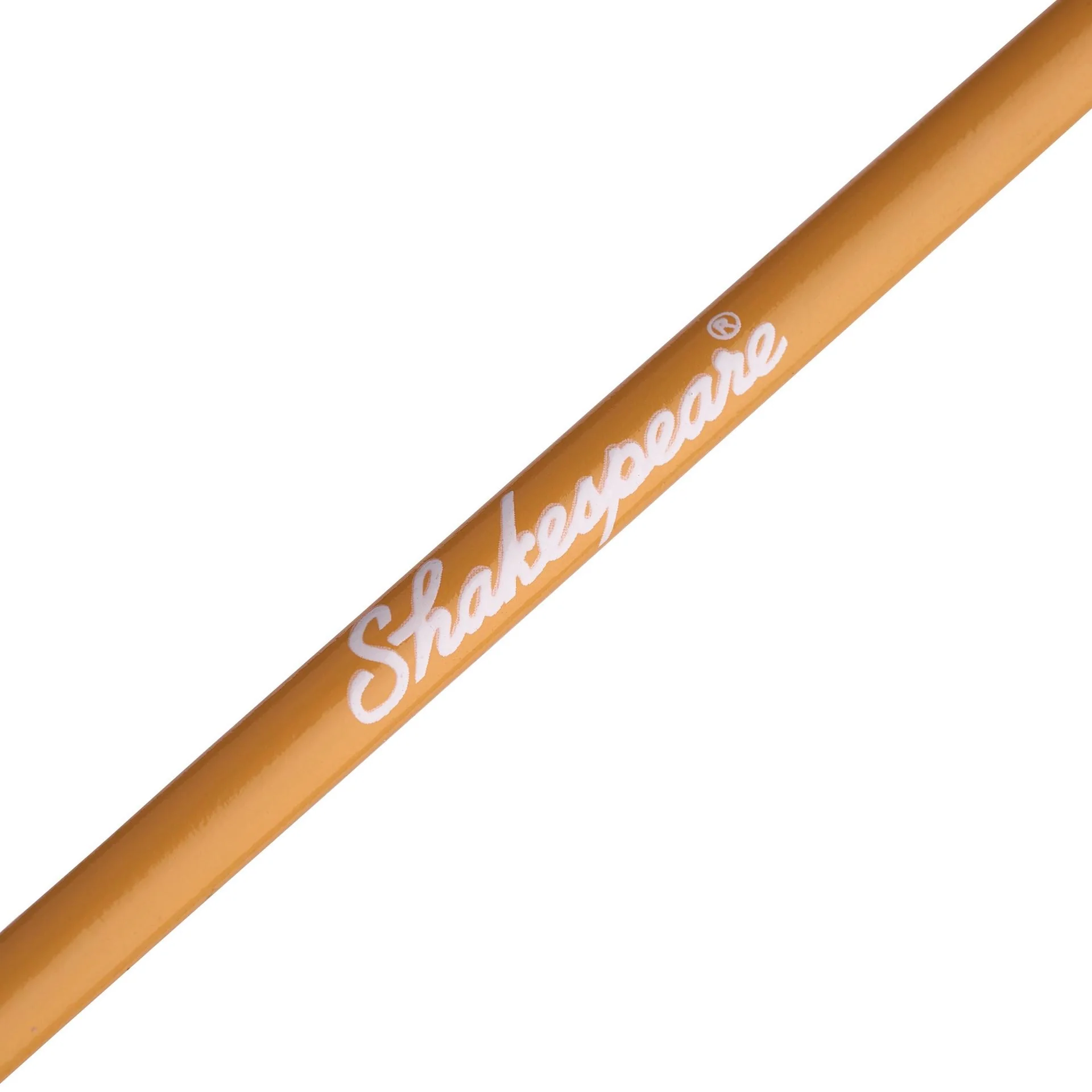 Disney® Moana Beginner Combo - Image 12